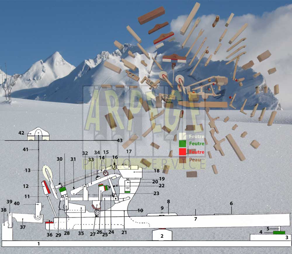 plan de coupe de clavier, mécanique et étouffoirs d'un piano à queue, avec numérotation pour nomenclature des pièces