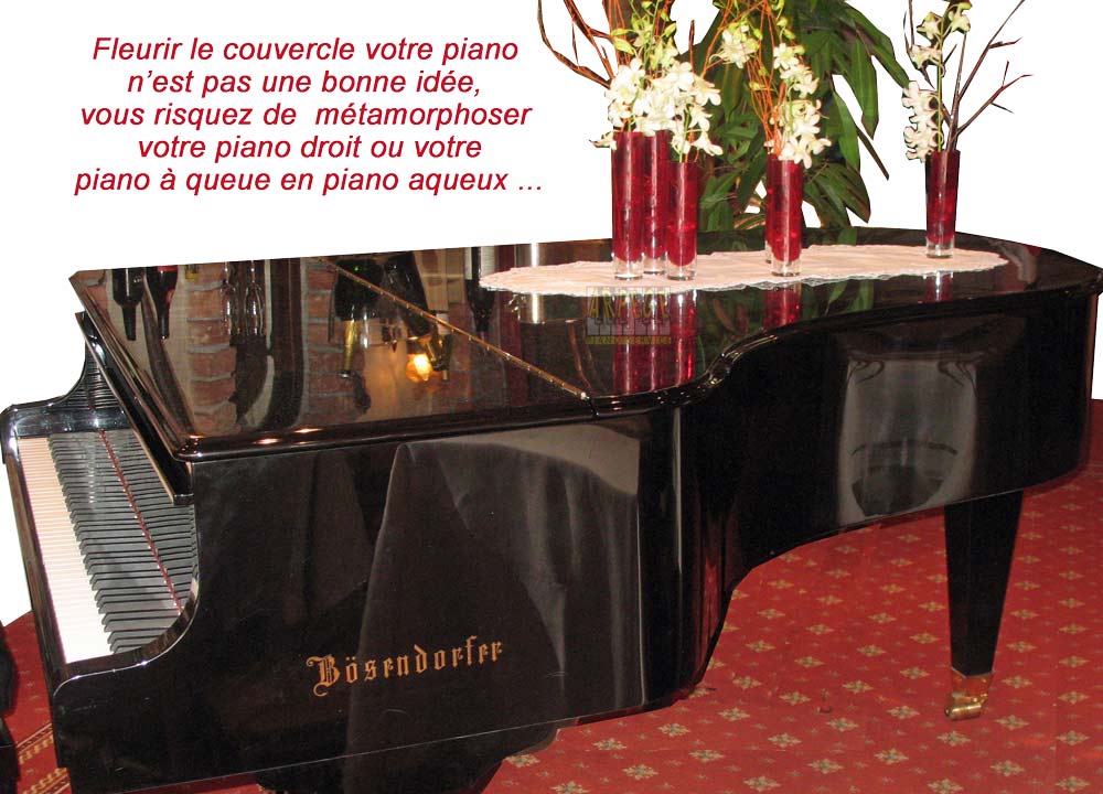 Ne jamais mettre un vase de fleurs sur un piano