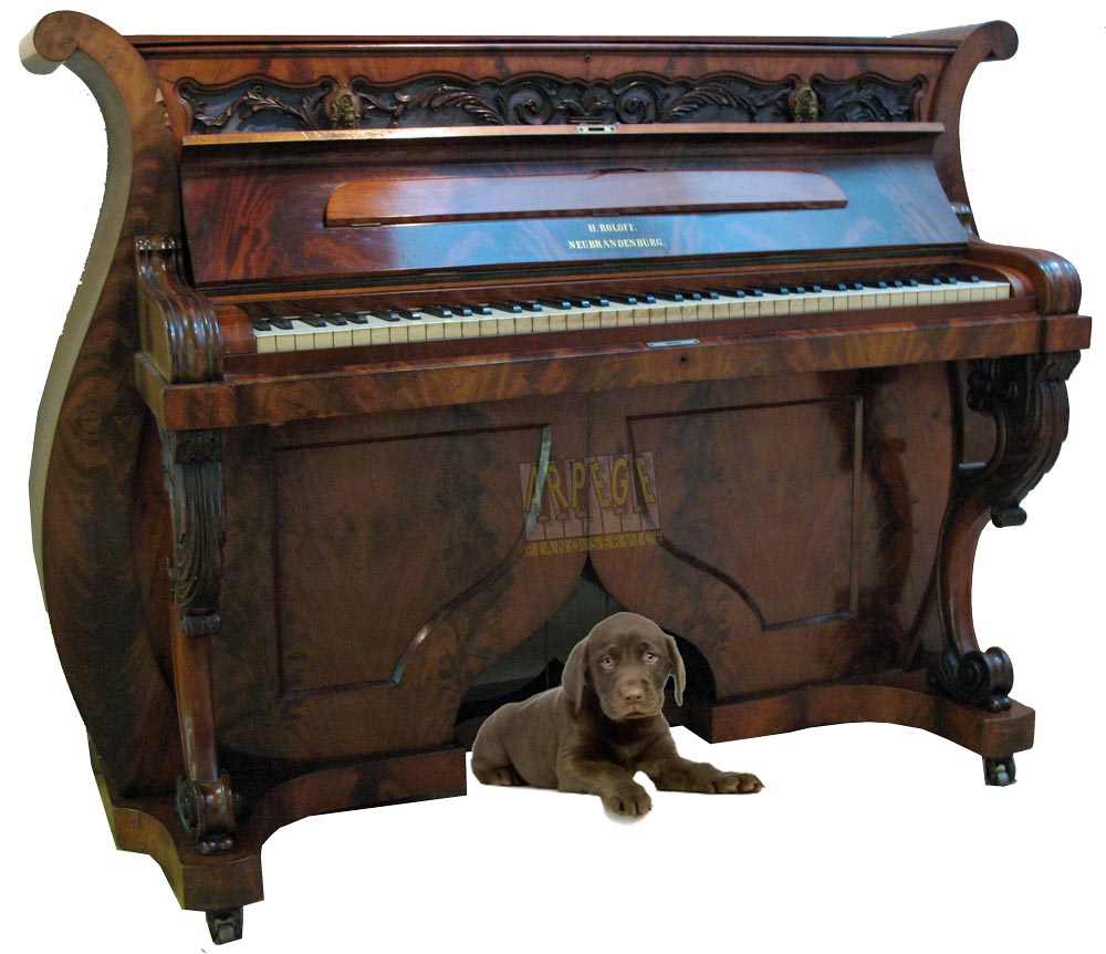 Piano niche à chien H Roloff Neubrandenburg