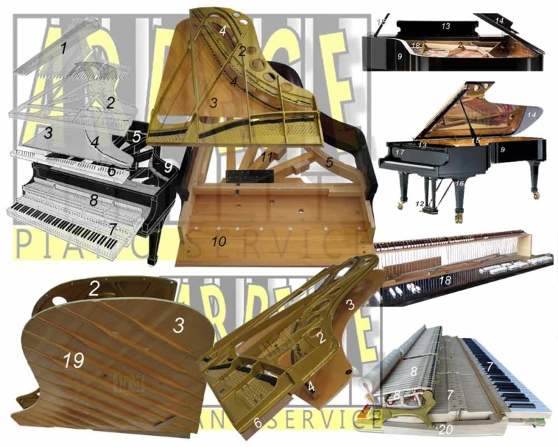 Anatomie piano à queue et nomenclature Piano Service Annecy