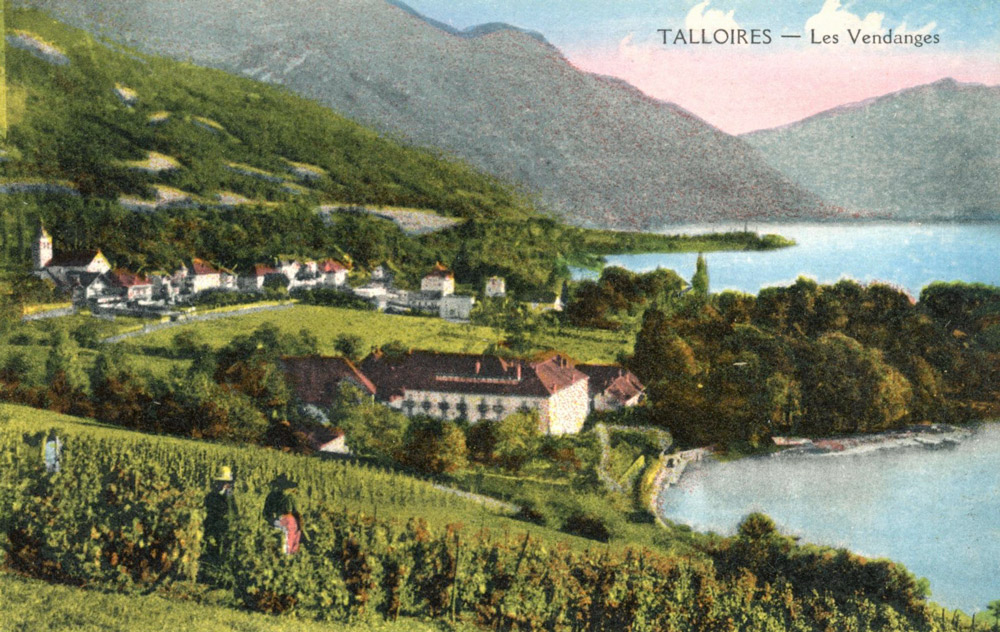 cartes postales de Talloires : les vendanges, Steve Barrager