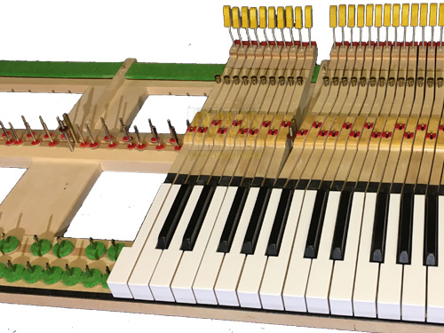 clavier-piano-queue-chassis-touches-nomenclature