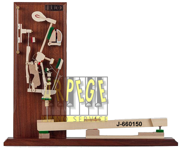 Coupe, éclaté, de mécanique - clavier de piano droit. Outil pédagogique - Ref. J-660150