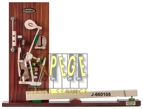 Coupe, éclaté, de mécanique - clavier de piano droit. Fabrication RENNER - Allemagne- Outil pédagogique - Ref. J-60105