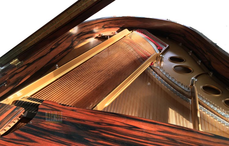 Piano Steinway O dont les cordes sont oxydées suite à exposition à atmosphère trop humide