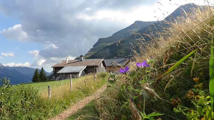 Sentier d'alpage à Saint Nicolas de Véroce