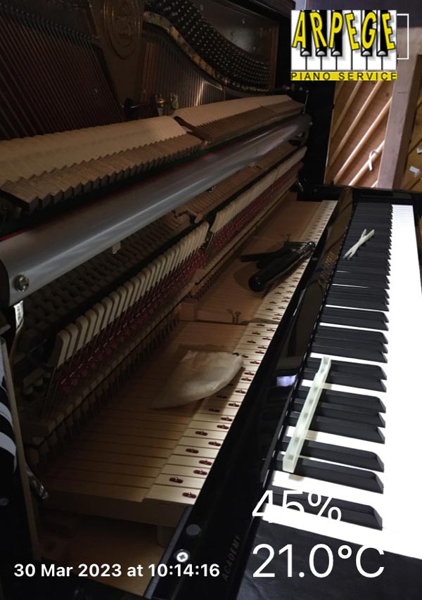 preparation_c_bechstein_124_atelier-avant-livraison_concert_ines_hadjla