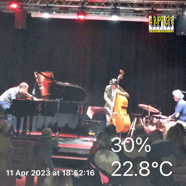 Fabrice Tarel trio