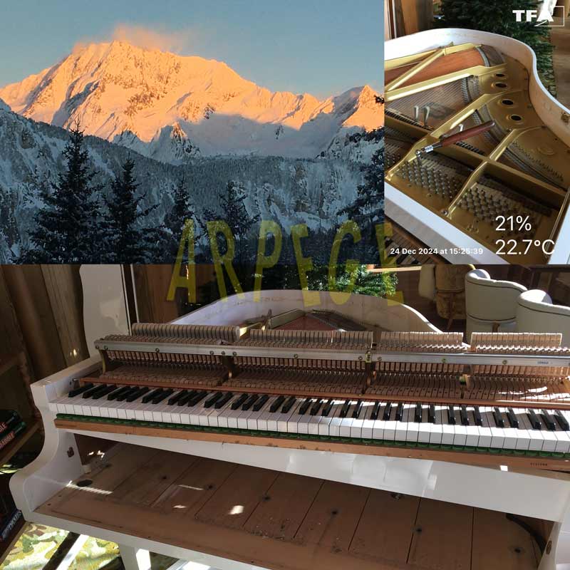 piano d'un palace des cimes nécessitant soins d'urgence
