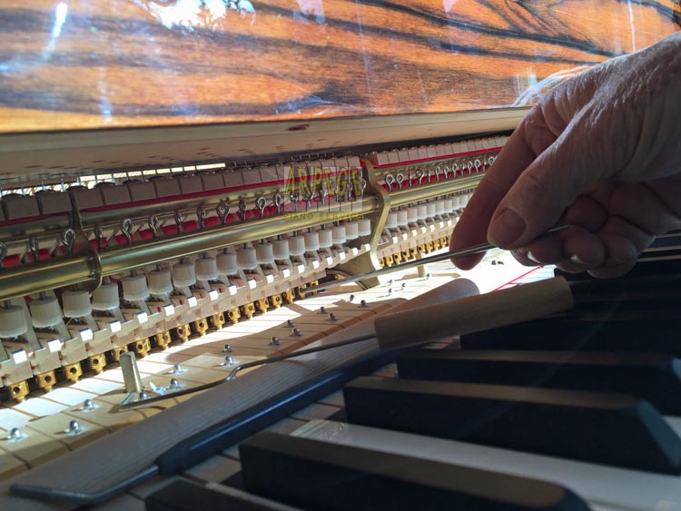 Ajustage de la chasse des marteaux de piano, en agissant sur les pilotes de touches : il s'agit de régler la distance que parcoure le marteau, depuis a position de repos jusqu'au chœur de corde qu'il percutera lors du jeu.