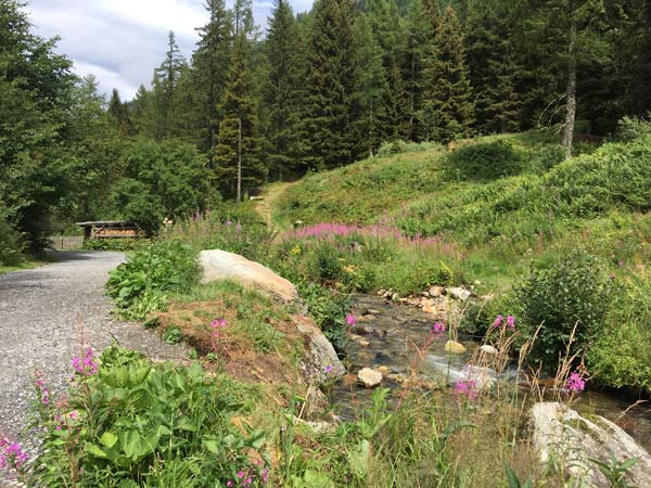 l'esprit de Vallorcine
