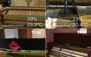 L'hiver le taux d'humidité relative est souvent très inférieur à la norme pour les instruments à cordes.Ceci est vrai pour les cordes vocales!