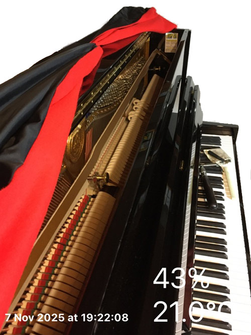 c_bechstein_piano_124_preparation_pre_concert_ainay_8_nov_2025