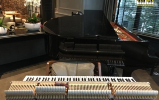 chamonix_mont_blanc_hotel_piano_harmonisation_16_12_2025_s