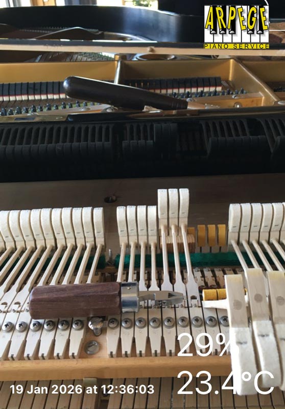 Preparation C BECHSTEIN en amont des concerts du 23 janvier, François René Duchable, piano - François Sieffert, Laure Rambaud, violoncelles - Gérard Planque, Baryton