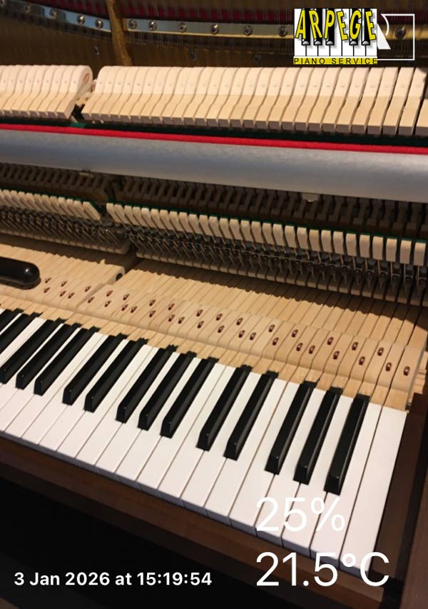 Schimmel 118, résurrection après 3 ans de garde-meuble.