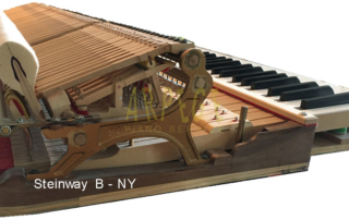 steinway-b-ny_keyboard_action_sostenuto