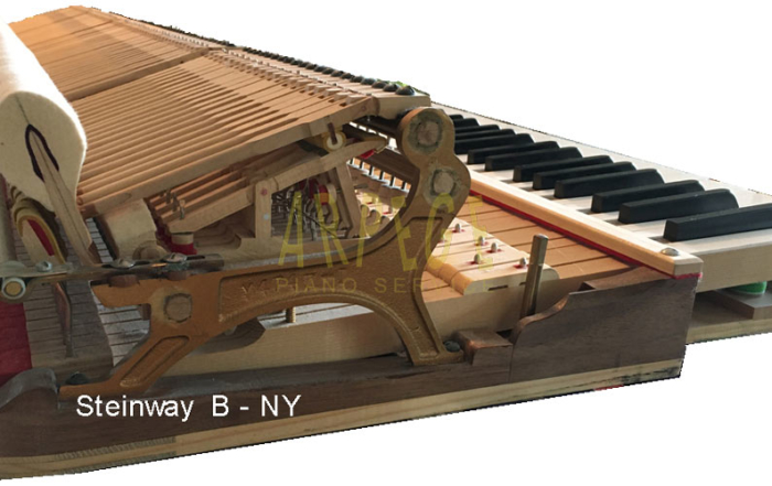 steinway-b-ny_keyboard_action_sostenuto