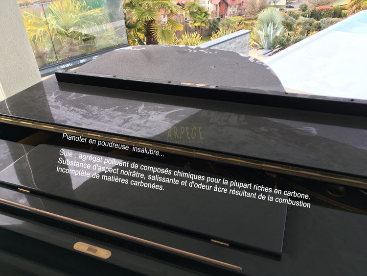 Important dépôt de suie, particulièrement visible dans l'arrondi de queue du piano, victime collatérale d'un incendie à l'étage inférieur: Suie : agrégat polluant de composés chimiques pour la plupart riches en carbone. Substance d'aspect noirâtre, salissante et d'odeur âcre résultant de la combustion incomplète de matières carbonées.