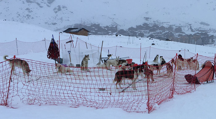 Snow Dogs A Capella concert in Val Thorens 10 février 2026