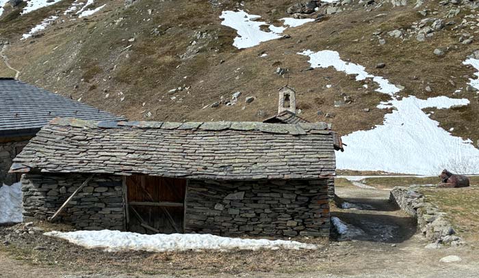 Les Ménuires, Tarentaise, cow gazing in the morning spring light