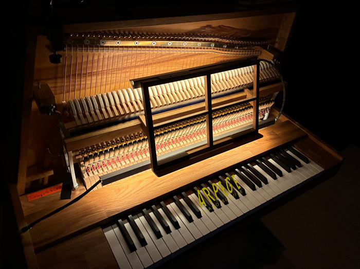 Piano "Una corda" de la tournée Stephan Eichern "Seul en scène", concert à Chamonix, le 24 avril 2026
