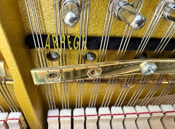 Vis cassées : suite à forte accentuation du bombé de la table d'harmonie du piano Schimmel 114 Tradition, victime d'un excès d'humidité, la tension des cordes ayant augmenté, a accentué le stress sur les vis du contre-sillet. Les vis ayant atteint leur point de rupture, elles ont cédé.