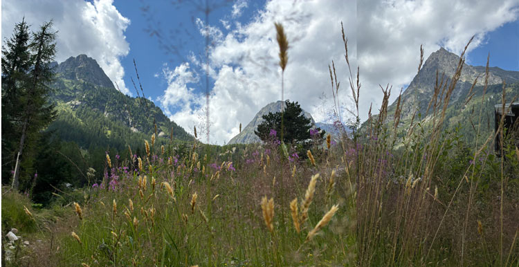 Paysage alpestre, ambiance estivale, Vallorcine, Haute Savoie
