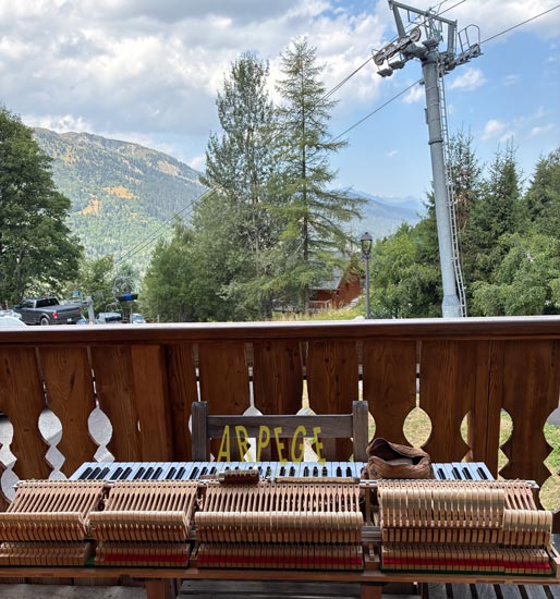 Travaux sur mécanique d'un piano 1/4 de queue Yamaha, accord et harmonisation à Méribel, Tarentaise