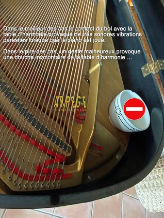 Bol pour apport en humidité sur table d'harmonie = DANGER